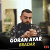 Bradar