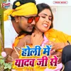 About Holi Me Yadav Ji Se Song