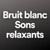 About Bruit blanc, pt. 15 Song