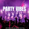 About Party Vibes Song