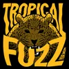 About Tropical Fuzz Song