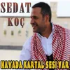 About Havada Kartal Sesi Var Song