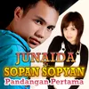 About Pandangan Pertama Song