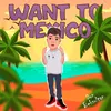 Want to Mexico