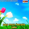 About Aay Mon Berate Jabi Song