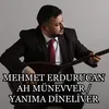 About Ah Münevver Yanıma Dineliver Song