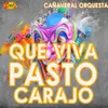 About Que Viva Pasto Carajo Song