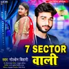 About 7 Sector Wali Song