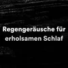 About Regengeräusche, Pt. 8 Song