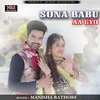 About Sona Babu Aa Gyo Song