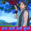 About Jana Jati Jati Sunale Song