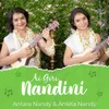 About AIGIRI NANDINI Song