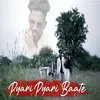 About Pyari Pyari Baate Song