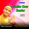 Nadiyar Gour Sundar