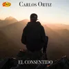 About El Consentido Song