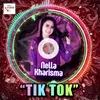 About Tik Tok Remix Song