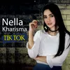 About Tik Tok Song