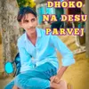 About Dhoko Na Desu Parvej Song