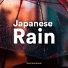 About Rain in Barcelona Song