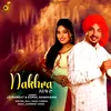 About Nakhra Janaab Da Song