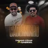About Caderninho Song