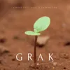 About GRAK Song