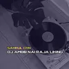 About DJ Ambo Nai Raja Liking Song