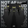 About Not Afraid Song