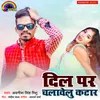 About Dil Par Chalave Katar Song