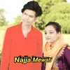 About Najja Mewati Song