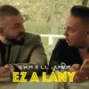 About Ez a lány Song