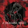 About A Thousand Years Song