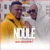 About Ndule Song