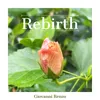 Rebirth