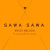 About Sawa Sawa Song