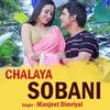 About CHALAYA SOBANI Song