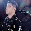 About 放得下世界放不下你 Song