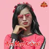 About Teri Meri Kahani Song