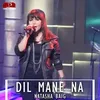 About Dil Mane Na Kehna Song