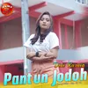 About Pantun Jodoh (Ngarep) Song