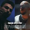 About Eyvallah Song