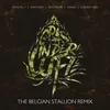 Gras in der Luft The Belgian Stallion Remix