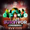 I Am Survivor Dani Brasil & Rafael Dutra Remix