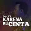 About Karena Ku Cinta Song