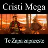 About Te zapa zapaceste Song