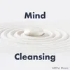 Mind Cleansing