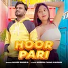 About Hoor Pari Song