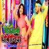 About Pan Wali Dhobiniya Song