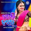 About Patli Kamar Song