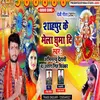 About Shahpur ke mela ghuma di Song